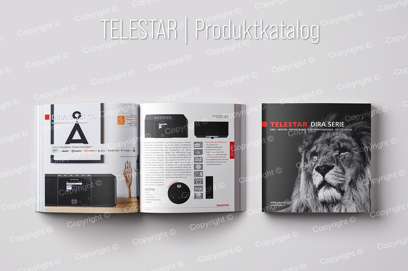 TELESTAR DIRA Produktlinie: Produktkatalog