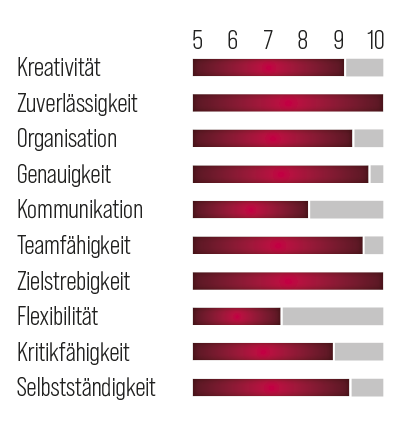 Einschätzung meiner Fähigkeiten